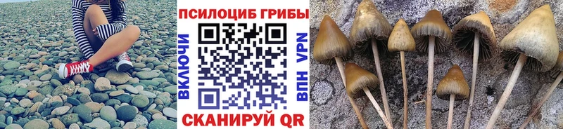 купить наркотик Неман Псилоцибиновые грибы ЛСД